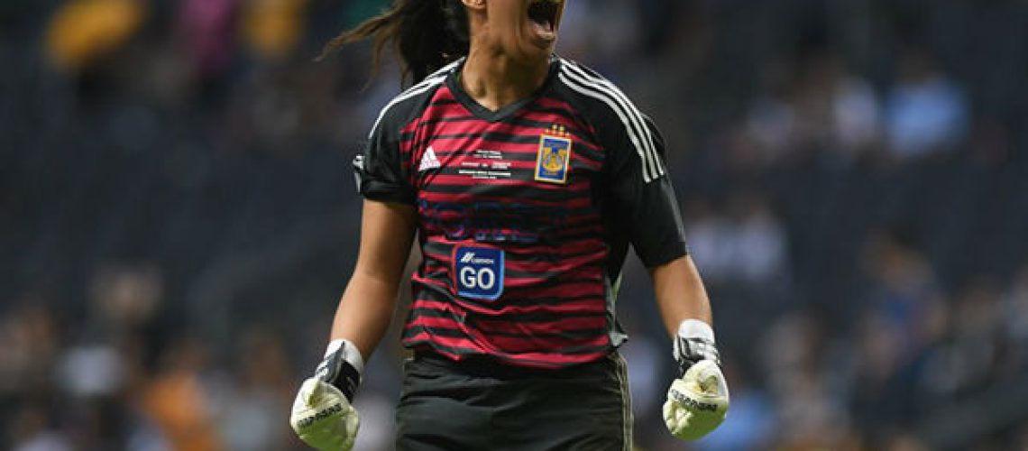 TIGRES-2-1