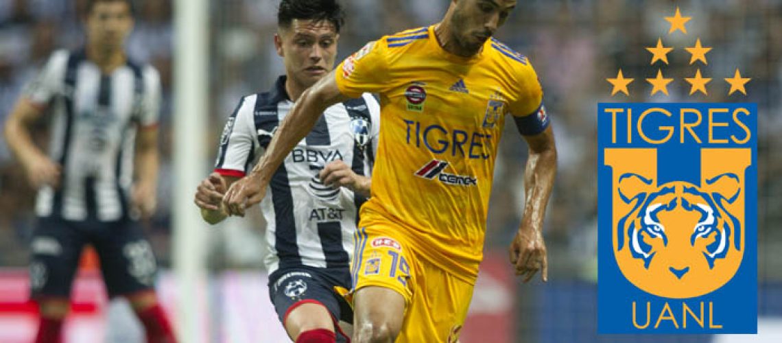 Tigres_Pizarro