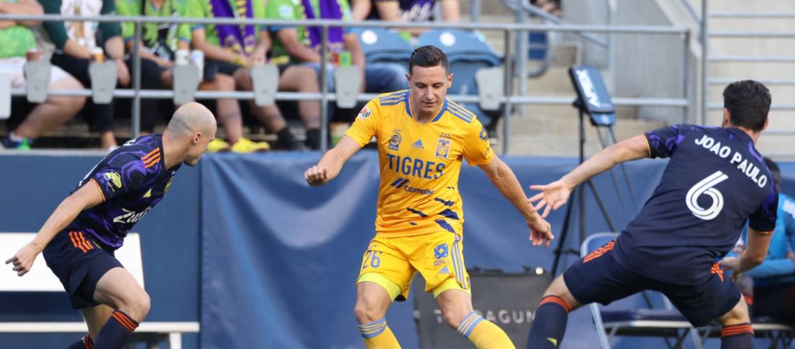 tigres-2