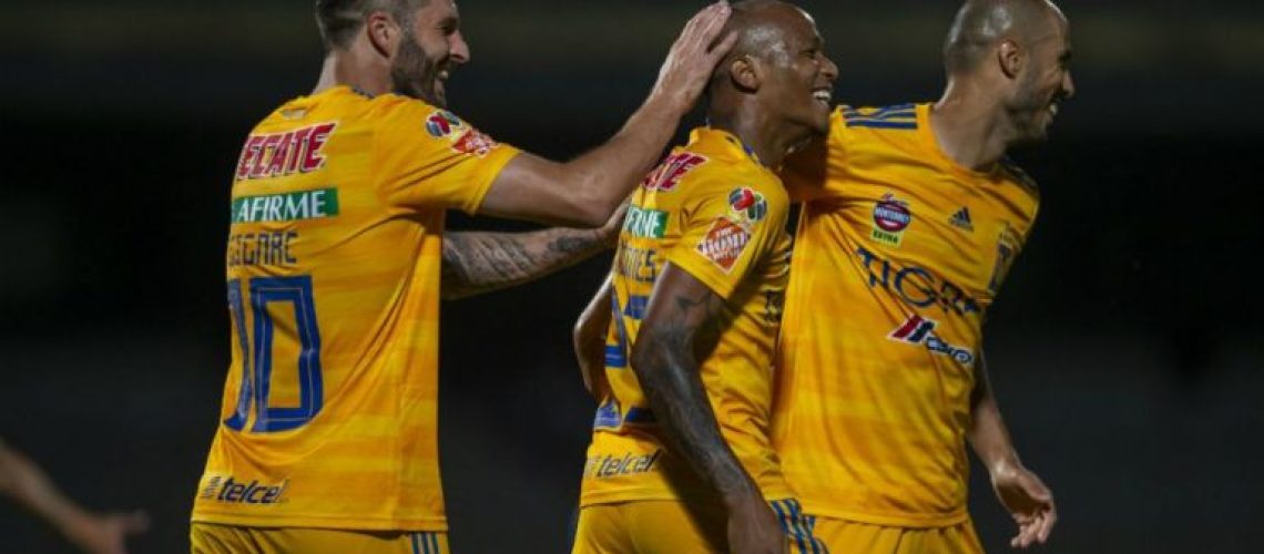 tigres